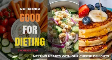 Cottage Cheese for Weight Loss: Healthy Diet Staple or Myth?