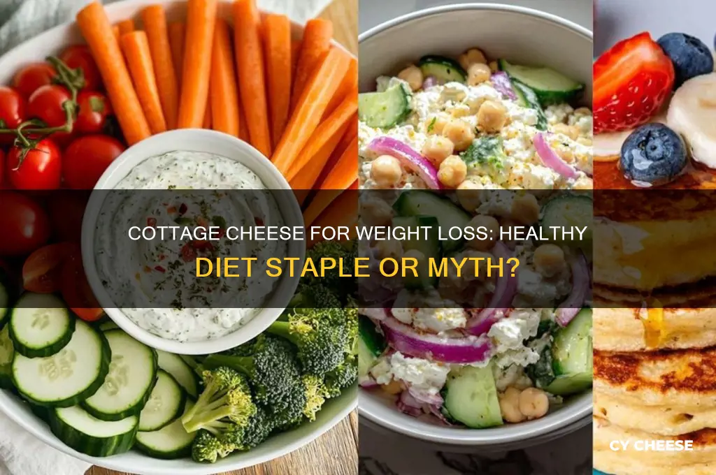 is cottage cheese good for dieting