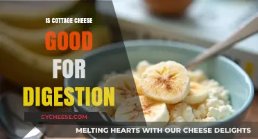 Cottage Cheese and Digestion: Benefits, Myths, and Healthy Gut Tips