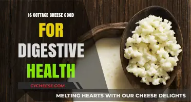 Cottage Cheese and Digestion: Benefits for a Healthy Gut