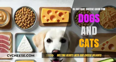 Cottage Cheese for Pets: Safe and Nutritious for Dogs and Cats?