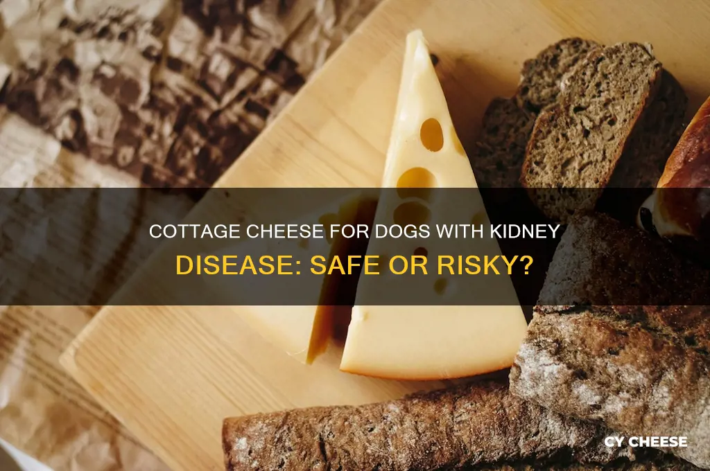 is cottage cheese good for dogs with kidney disease