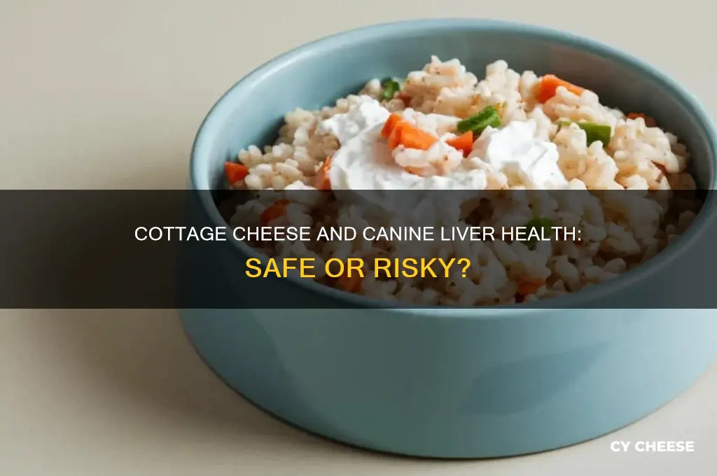 is cottage cheese good for dogs with liver disease