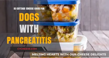 Cottage Cheese for Dogs with Pancreatitis: Safe or Risky?