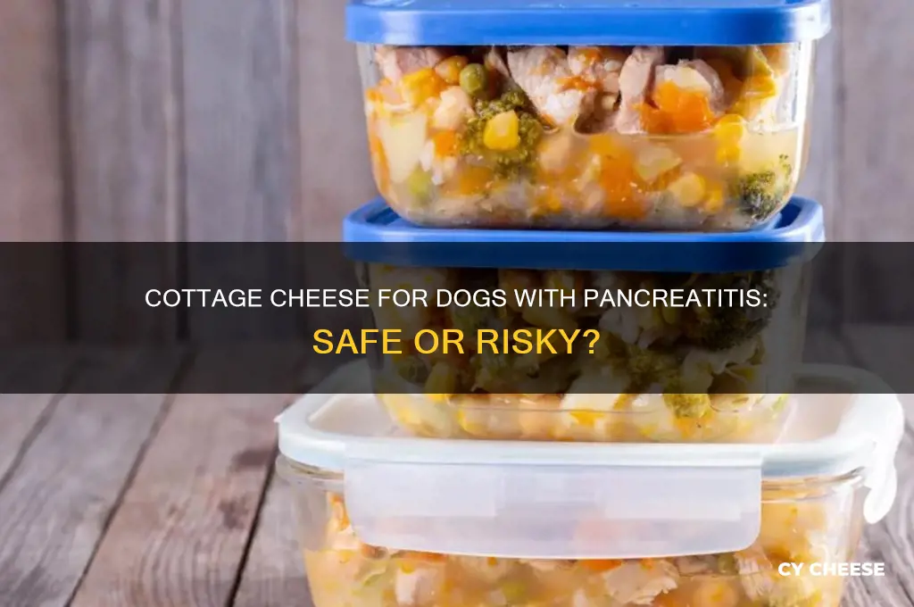 is cottage cheese good for dogs with pancreatitis