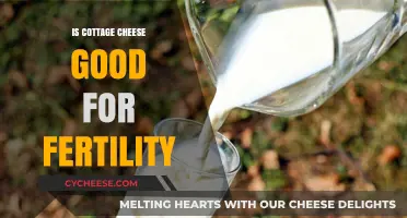 Cottage Cheese and Fertility: Boosting Reproductive Health Naturally