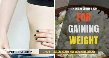 Cottage Cheese for Weight Gain: Healthy Option or Myth?
