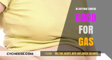 Cottage Cheese and Gas: Does It Help or Worsen Bloating?