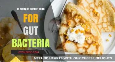 Cottage Cheese and Gut Health: Boosting Beneficial Bacteria Naturally