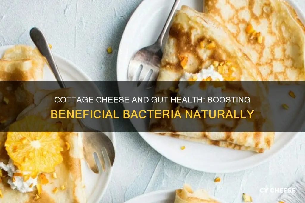 is cottage cheese good for gut bacteria