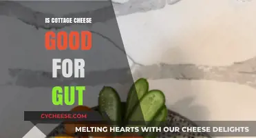 Cottage Cheese and Gut Health: Benefits, Probiotics, and Digestion Explained