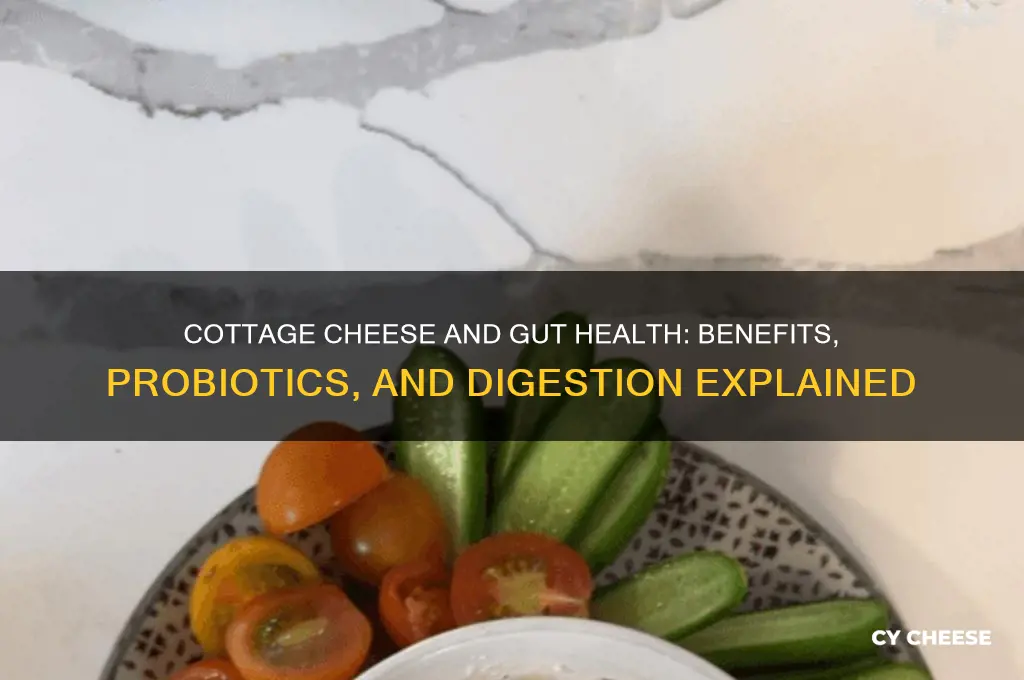 is cottage cheese good for gut