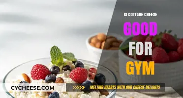 Cottage Cheese for Gym Goers: Benefits, Nutrition, and Muscle Recovery