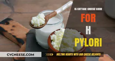 Cottage Cheese and H. Pylori: Benefits, Risks, and Dietary Tips