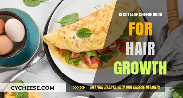 Cottage Cheese Benefits: Boosting Hair Growth with Nutrient-Rich Dairy