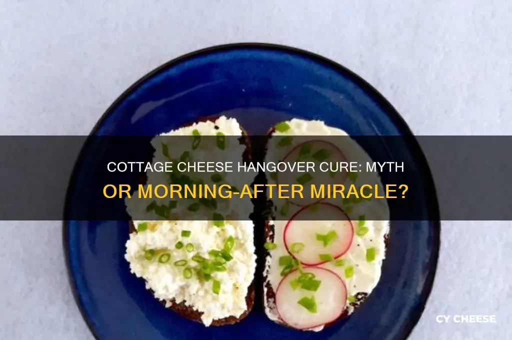 is cottage cheese good for hangover