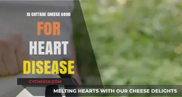 Cottage Cheese and Heart Health: Benefits, Risks, and Nutritional Insights