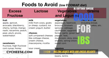 Cottage Cheese and IBS: A Gut-Friendly Snack or Trigger?