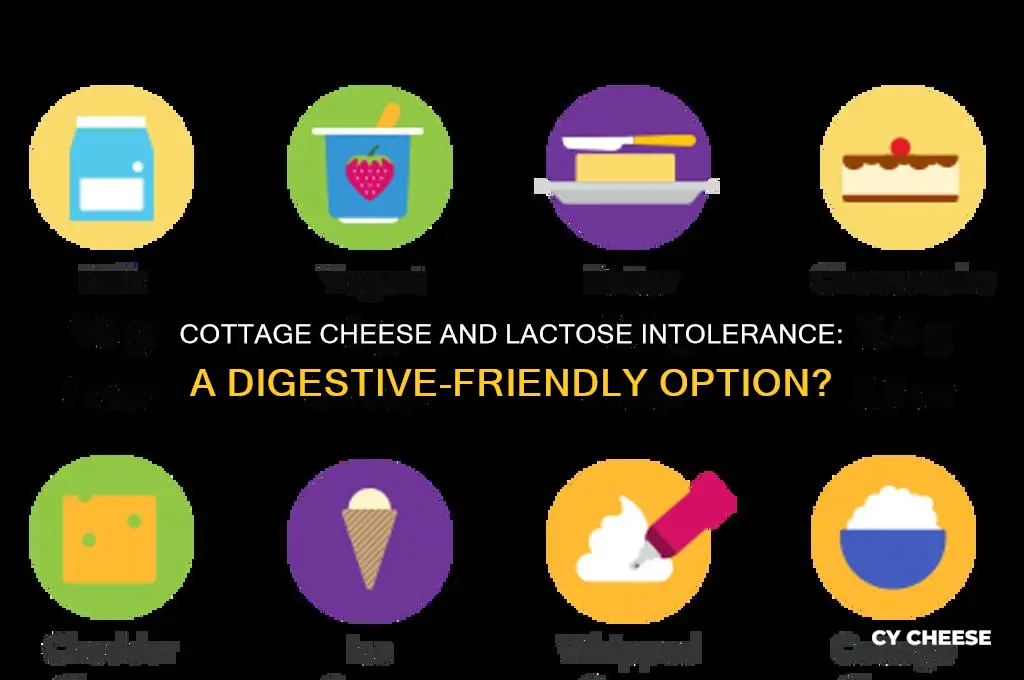 is cottage cheese good for lactose intolerance