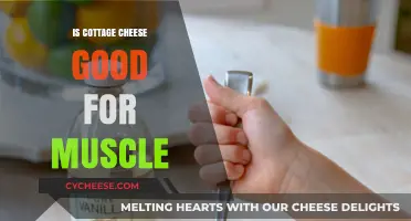 Cottage Cheese for Muscle Growth: Benefits and Nutrition Explained