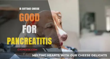 Cottage Cheese and Pancreatitis: A Healthy Choice or Risk?
