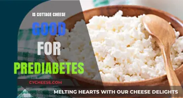 Cottage Cheese and Prediabetes: A Healthy Dietary Choice?