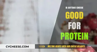 Is Cottage Cheese a High-Protein Superfood for Your Diet?