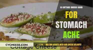 Cottage Cheese for Stomach Aches: Relief or Recipe for Discomfort?
