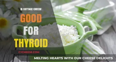 Cottage Cheese and Thyroid Health: Benefits, Myths, and Nutritional Insights