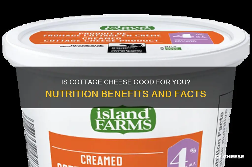 is cottage cheese good for tou
