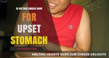 Cottage Cheese for Upset Stomach: Benefits, Risks, and Tips