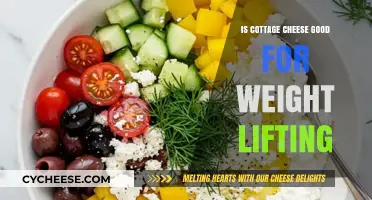 Cottage Cheese Benefits: Fueling Muscle Growth and Recovery for Lifters