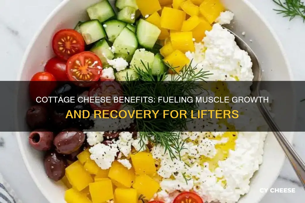 is cottage cheese good for weight lifting