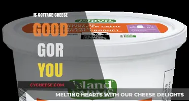 Is Cottage Cheese Healthy? Benefits, Nutrition, and Myths Explained