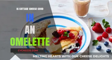 Cottage Cheese in Omelettes: A Tasty Twist or Culinary Misstep?