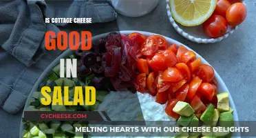 Cottage Cheese in Salads: A Healthy, Creamy, and Tasty Addition?