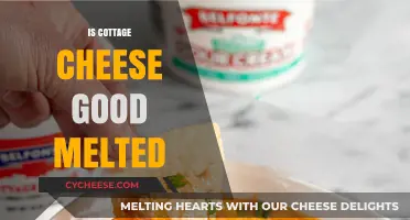 Melted Cottage Cheese: Delicious or Disaster? A Culinary Exploration