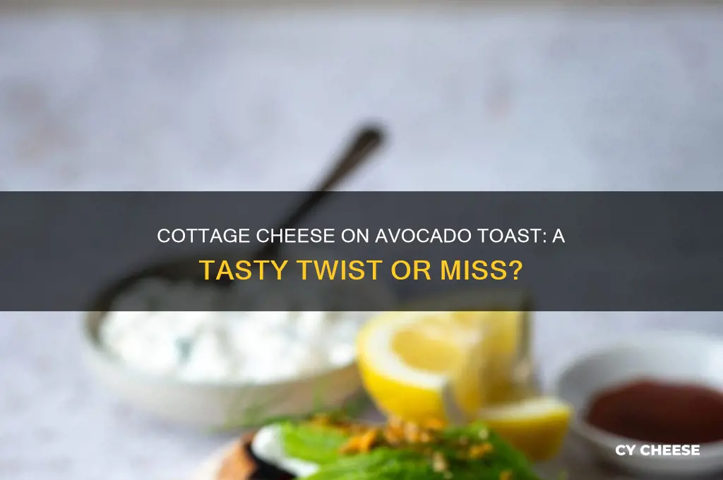 is cottage cheese good on avocado toast