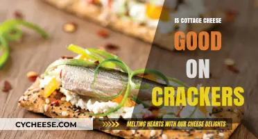 Cottage Cheese on Crackers: A Tasty Snack or Odd Combo?
