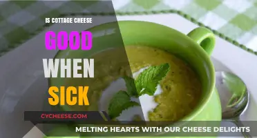 Cottage Cheese and Illness: A Nutritious Choice When You're Sick?