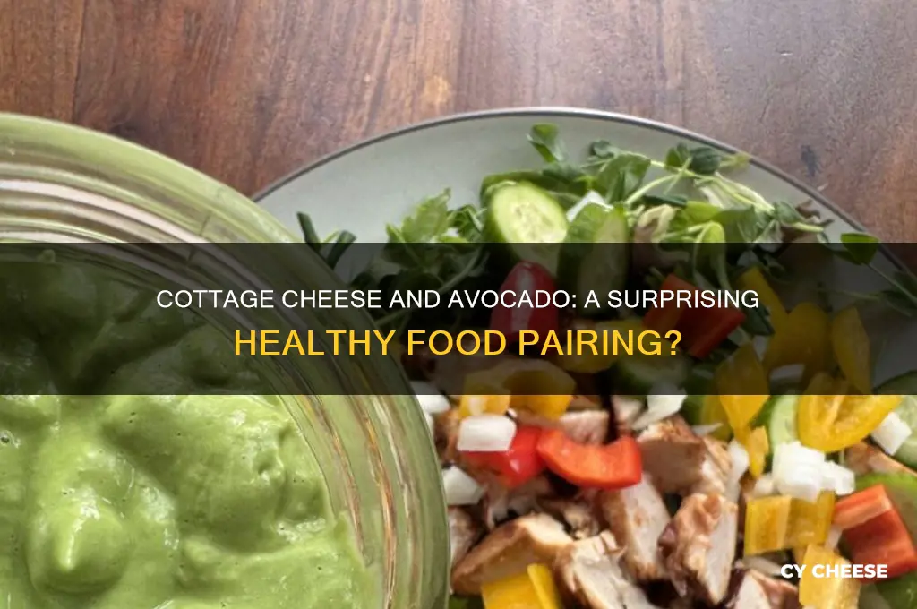 is cottage cheese good with avocado