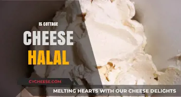 Is Cottage Cheese Halal? Exploring Its Ingredients and Religious Compliance