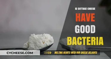 Cottage Cheese and Probiotics: Unlocking the Benefits of Good Bacteria