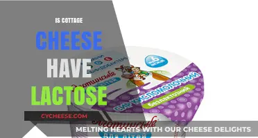 Does Cottage Cheese Contain Lactose? A Comprehensive Guide