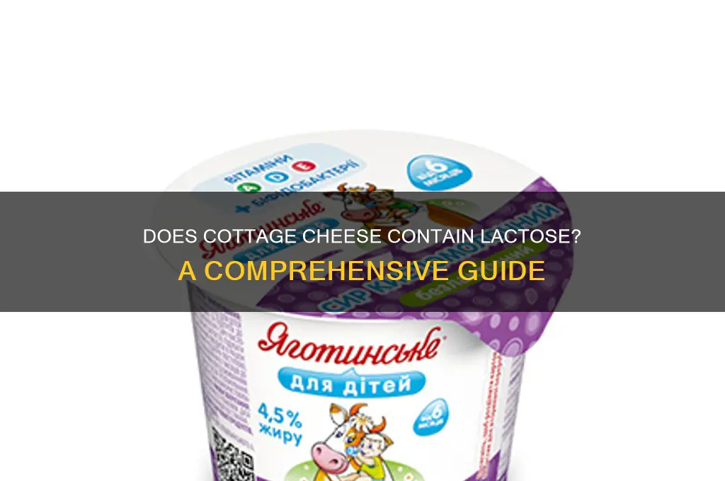 is cottage cheese have lactose