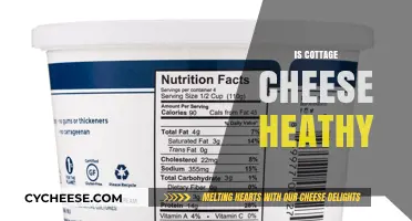 Is Cottage Cheese Healthy? Nutrition Facts and Benefits Explained