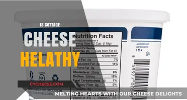 Is Cottage Cheese Healthy? Nutrition Benefits and Potential Drawbacks