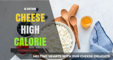 Is Cottage Cheese High Calorie? Nutritional Facts and Health Benefits