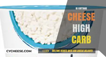 Is Cottage Cheese High Carb? Uncovering the Nutritional Truth