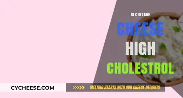 Is Cottage Cheese High in Cholesterol? Facts and Health Insights